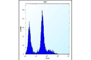 PDGFRA Antibody (C-term ) (ABIN392022 and ABIN2841798) flow cytometric analysis of  cells (right histogram) compared to a negative control cell (left histogram). (PDGFRA Antikörper  (C-Term))