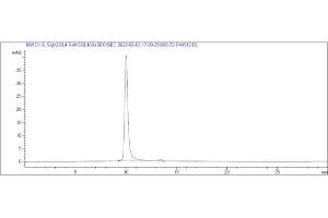 anti-IL33 (Tozorakimab Biosimilar) antibody