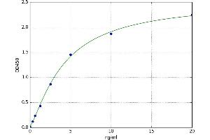 Peptidoglycan Recognition Protein 1 (PGLYRP1) ELISA Kit