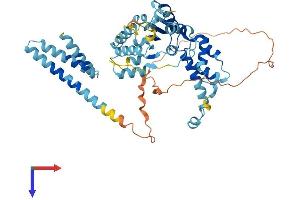 KATNA1 Protein (AA 1-491) (His tag)