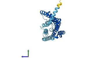 AlphaFold protein structure predicition of Human Recombinant OR4D9 Protein, UniprotID Q8NGE8 (Olfactory Receptor, Family 4, Subfamily D, Member 9 (OR4D9) (AA 1-314) protein (His tag))