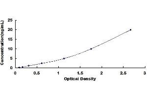 Typical standard curve (IGLL5 ELISA Kit)