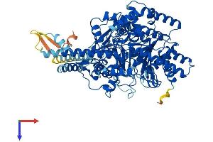 CPT1B Protein (AA 1-772) (His tag)