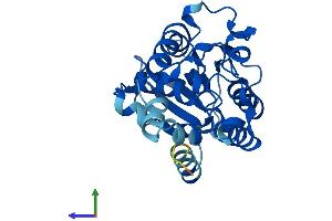 Protein Structure (PS) image for phosphoglycerate Mutase 2 (Muscle) (PGAM2) (AA 1-253) protein (His tag) (ABIN7562522)