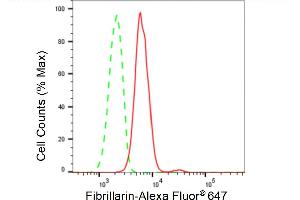 Flow cytometric analysis of Fibrillarin expression in HepG2 cells using Fibrillarin antibody (ABIN7798599), 1:2,000). (Rekombinanter Fibrillarin Antikörper)