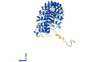Protein Structure (PS) image for F-Box and Leucine-Rich Repeat Protein 2 (FBXL2) (AA 1-423) protein (His tag) (ABIN7564350)