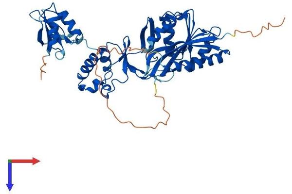 TRMT12 Protein (AA 1-446) (His tag)