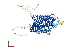 Protein Structure (PS) image for Solute Carrier Family 6 (Neurotransmitter Transporter, GABA), Member 11 (SLC6A11) (AA 1-632) protein (His tag) (ABIN7545953)