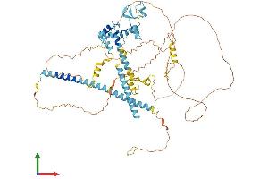 AlphaFold protein structure predicition of Mouse Recombinant Clasrp Protein, UniprotID Q8CFC7