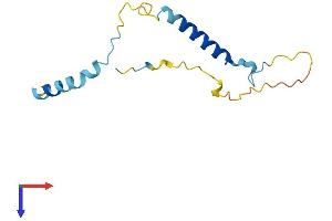 Pcp2 Protein (AA 1-120) (His tag)