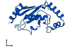 Protein Structure (PS) image for Ubiquitin-Conjugating Enzyme E2D 3 (UBE2D3) (AA 1-147) protein (His tag) (ABIN7555893)