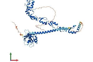Protein Structure (PS) image for TNF Receptor-Associated Factor 6 (TRAF6) (AA 1-530) protein (His tag) (ABIN7563515)