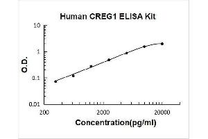 Cellular Repressor of E1A-Stimulated Genes 1 (CREG1) ELISA Kit