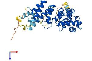 ASB17 Protein (AA 1-295) (His tag)
