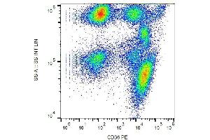 Surface staining of human peripheral blood with anti-CD36 (TR9) PE. (CD36 Antikörper  (PE))