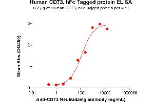 ELISA image for 5'-Nucleotidase, Ecto (CD73) (NT5E) (AA 27-549) protein (Fc Tag) (ABIN6964149)