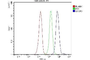 Flow Cytometry analysis of JK cells using anti-SCP3/SYCP3 antibody (ABIN7602415). (SYCP3 Antikörper  (AA 75-236))