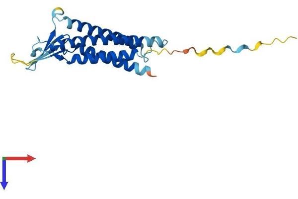 Claudin 1 Protein (CLDN1) (AA 1-211) (His tag)
