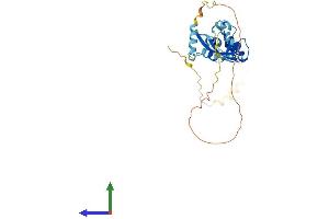 Protein Structure (PS) image for Fragile Site, Folic Acid Type, Rare, Fra(10)(q23.3) Or Fra(10)(q24.2) Candidate 1 (FRA10AC1) (AA 1-315) protein (His tag) (ABIN7547464)