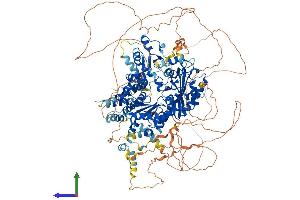Protein Structure (PS) image for REV1, Polymerase (DNA Directed) (REV1) (AA 1-1251) protein (His tag) (ABIN7555143)