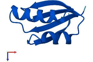 ATOX1 Protein (AA 1-68) (Fc Tag)