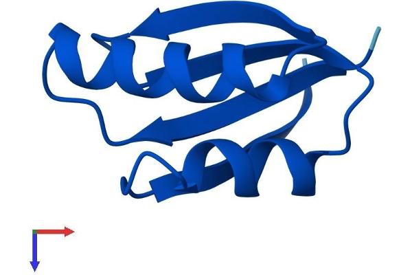 ATOX1 Protein (AA 1-68) (Fc Tag)