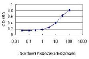 Detection limit for recombinant GST tagged TNFRSF17 is approximately 0. (BCMA Antikörper  (AA 1-184))