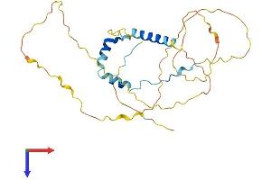 CCDC117 Protein (AA 1-277) (His tag)