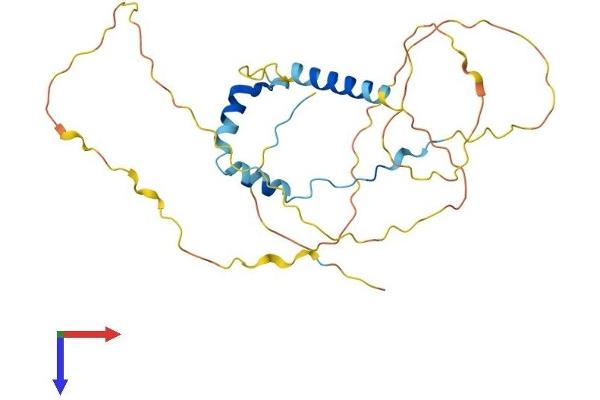 CCDC117 Protein (AA 1-277) (His tag)