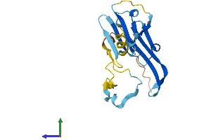 Protein Structure (PS) image for Heat Shock 27kDa Protein 2 (HSPB2) (AA 1-182) protein (His tag) (ABIN7560469)