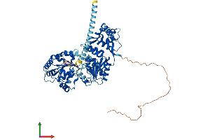 Protein Structure (PS) image for RecQ Protein-Like (DNA Helicase Q1-Like) (RECQL) (AA 1-649) protein (His tag) (ABIN7551321)