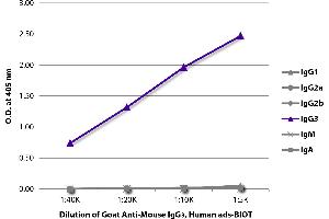 ELISA plate was coated with purified mouse IgG1, IgG2a, IgG2b, IgG3, IgM, and IgA. (Ziege anti-Maus IgG3 (Heavy Chain) Antikörper (Biotin))