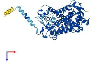 CYP2J2 Protein (AA 1-502) (His tag)