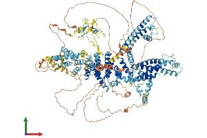 Protein Structure (PS) image for Transient Receptor Potential Cation Channel, Subfamily C, Member 2 (TRPC2) (AA 1-1172) protein (His tag) (ABIN7565199)