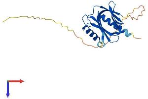 ITGB1BP1 Protein (AA 1-200) (His tag)