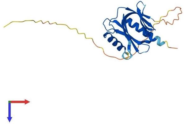 ITGB1BP1 Protein (AA 1-200) (His tag)