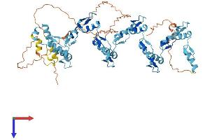 ZNF543 Protein (AA 1-600) (His tag)