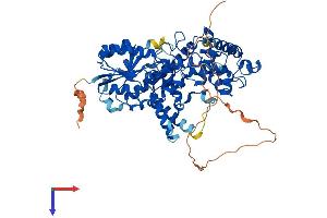 CRY2 Protein (AA 1-593) (His tag)