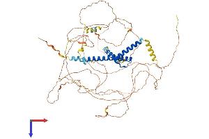 TCF3 Protein (AA 1-654) (His tag)