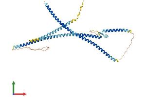 Protein Structure (PS) image for Leucine Rich Repeat (In FLII) Interacting Protein 2 (LRRFIP2) (AA 1-415) protein (His tag) (ABIN7560040)