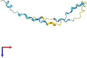 SPRR2F Protein (AA 1-76) (Fc Tag)