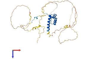 HOXA2 Protein (AA 1-372) (His tag)