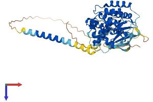 STYK1 Protein (AA 1-429) (His tag)