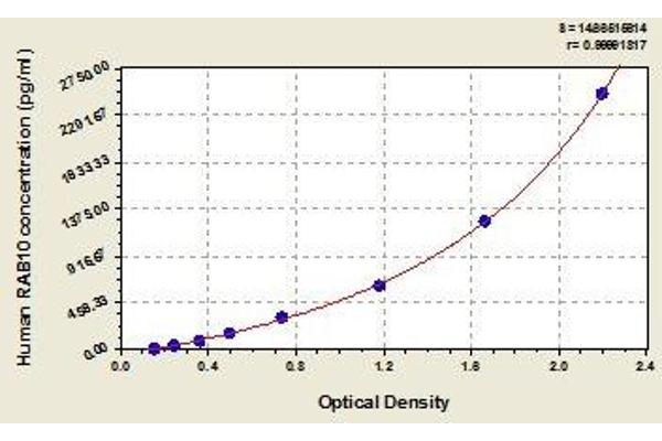 RAB10 ELISA Kit