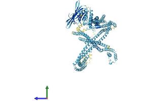 Protein Structure (PS) image for RAD50 Homolog (S. Cerevisiae) (RAD50) (AA 1-1312) protein (His tag) (ABIN7555115)