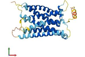 AlphaFold protein structure predicition of Mouse Recombinant Mrgpra6 Protein, UniprotID Q91ZC6 (Mrgpra6 Protein (AA 1-301) (His tag))