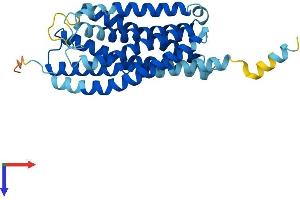 GPR55 Protein (AA 1-319) (His tag)
