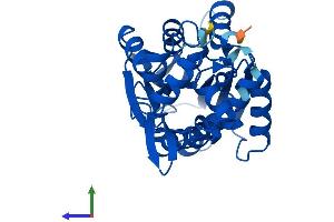 Protein Structure (PS) image for Histamine N-Methyltransferase (HNMT) (AA 1-295) protein (His tag) (ABIN7559987)