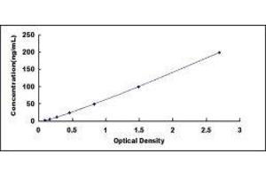 alpha Ketoglutarate Dehydrogenase (alphaKGDHC) ELISA Kit