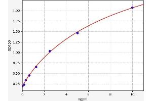 Typical standard curve (DNMT1 ELISA Kit)